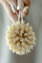 Casa Agave™ Dish Brush - Long Handle